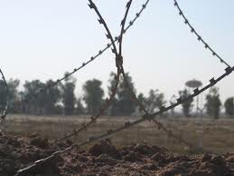 Writing Prompt _ Look through Barbed Wire